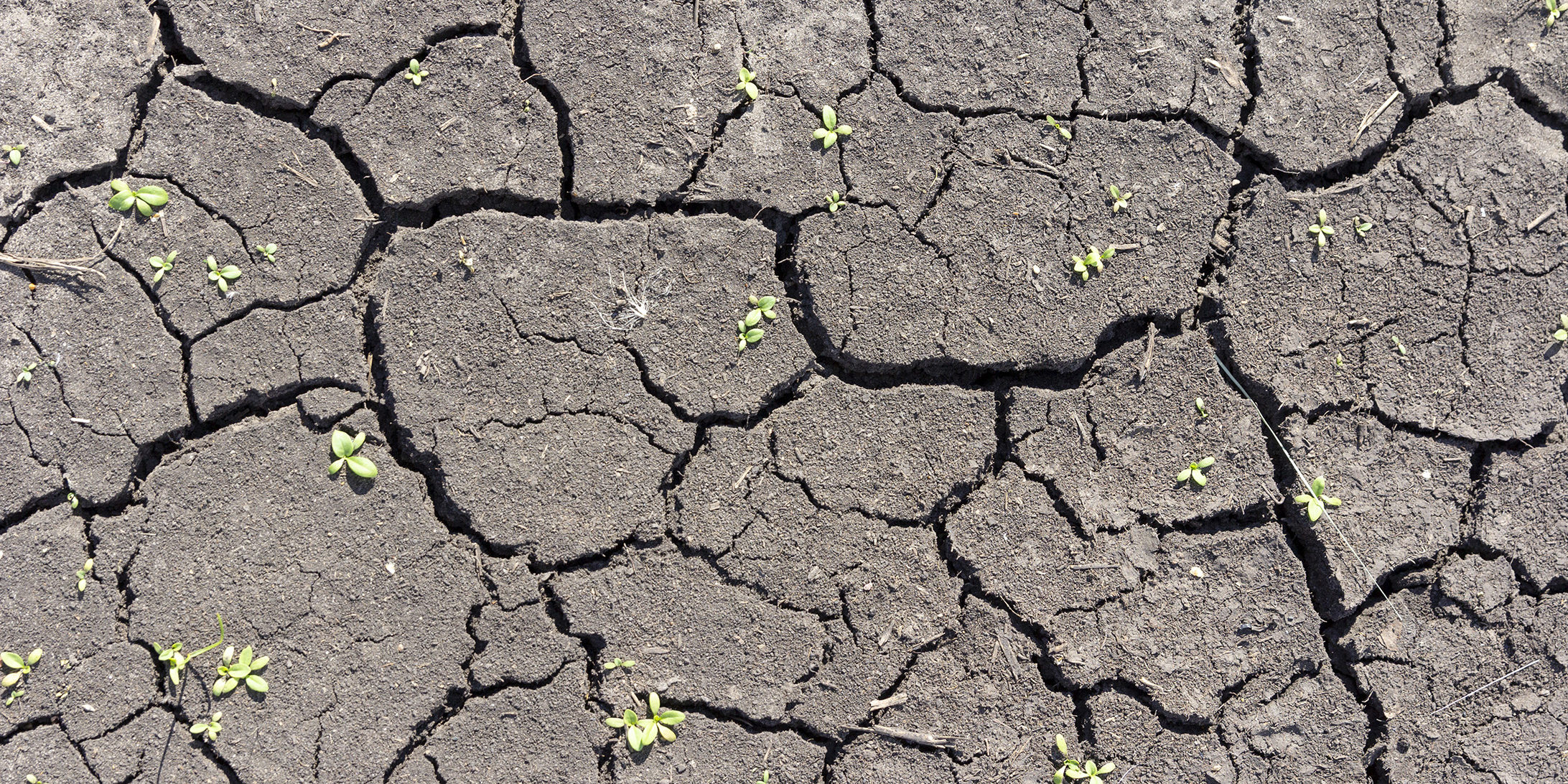Fissures sur façade de maison causées par le retrait-gonflement des argiles