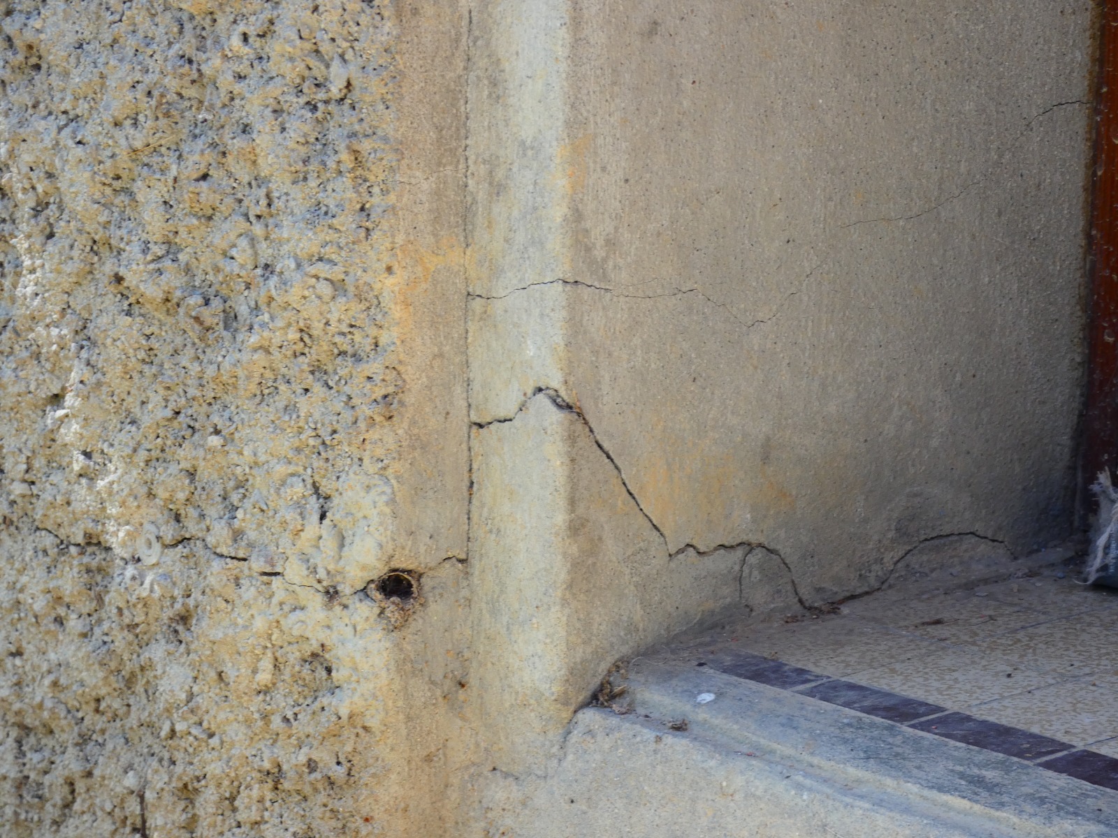 Lézarde sur pignon de maison